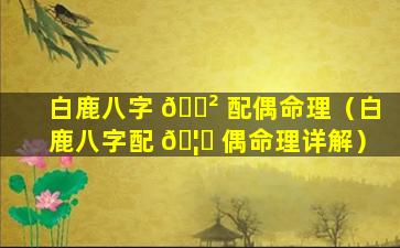 白鹿八字 🌲 配偶命理（白鹿八字配 🦄 偶命理详解）